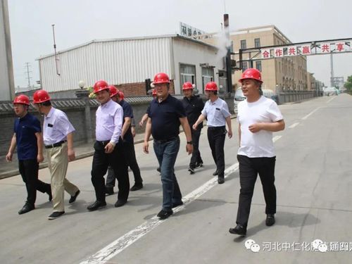 �_���h�I(l��ng)��(d��o)�W�R���ʼ��F����ָ��(d��o)