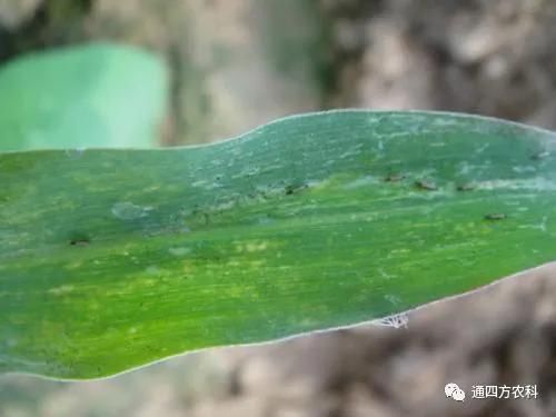 ���הQ����ô�k����ץ�o��Q��Ӱ푮a(ch��n)��!!!