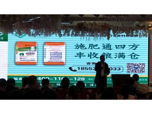 ������ӆ؛��(hu��)��Ƭ