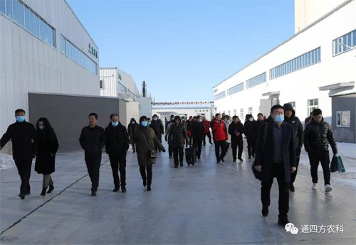 �͑�(h��)���^��˾